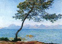 Tree in Cap d'Antibes, Claude Monet 1888