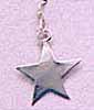 5-pointed silver star